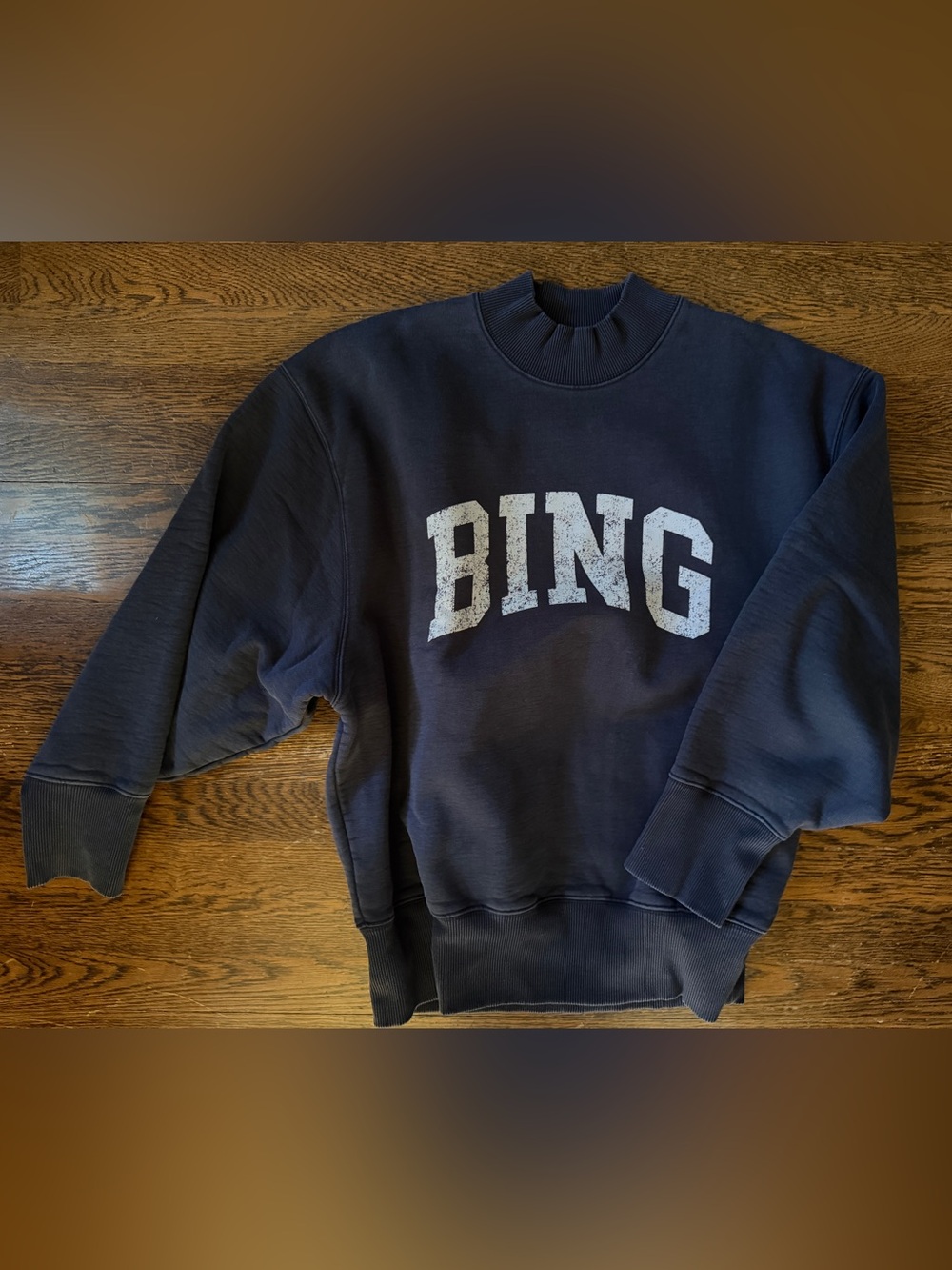 Anine Bing Bradie Sweatshirt size small